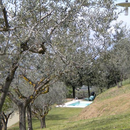 Il Poggio Delle Ginestre Torgiano Exterior foto