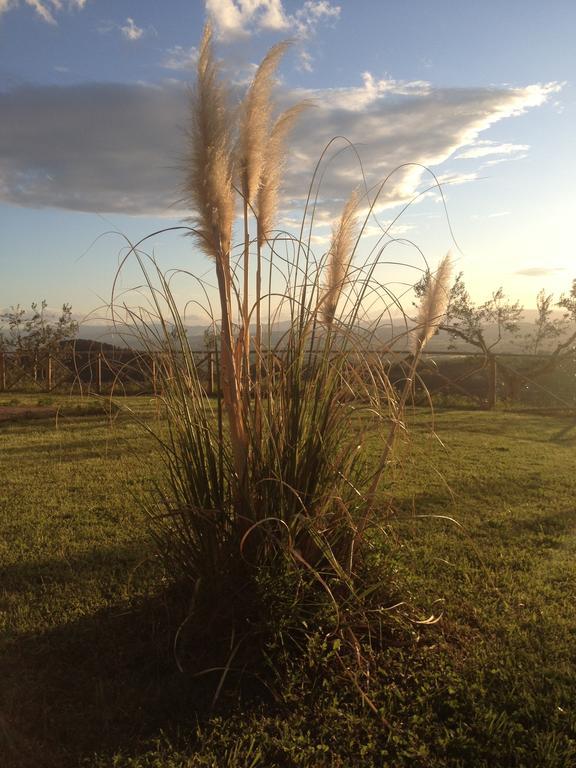 Il Poggio Delle Ginestre Torgiano Exterior foto