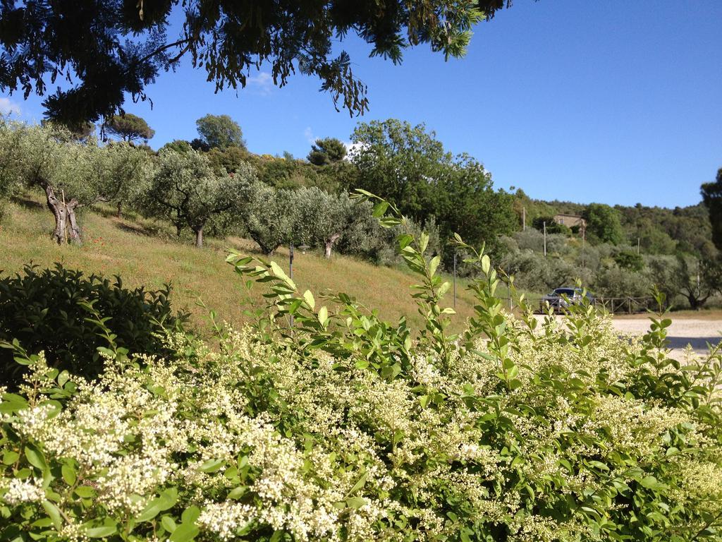 Il Poggio Delle Ginestre Torgiano Exterior foto