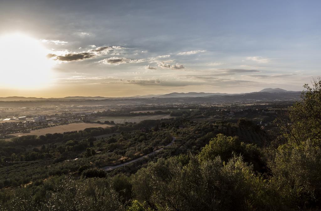 Il Poggio Delle Ginestre Torgiano Exterior foto